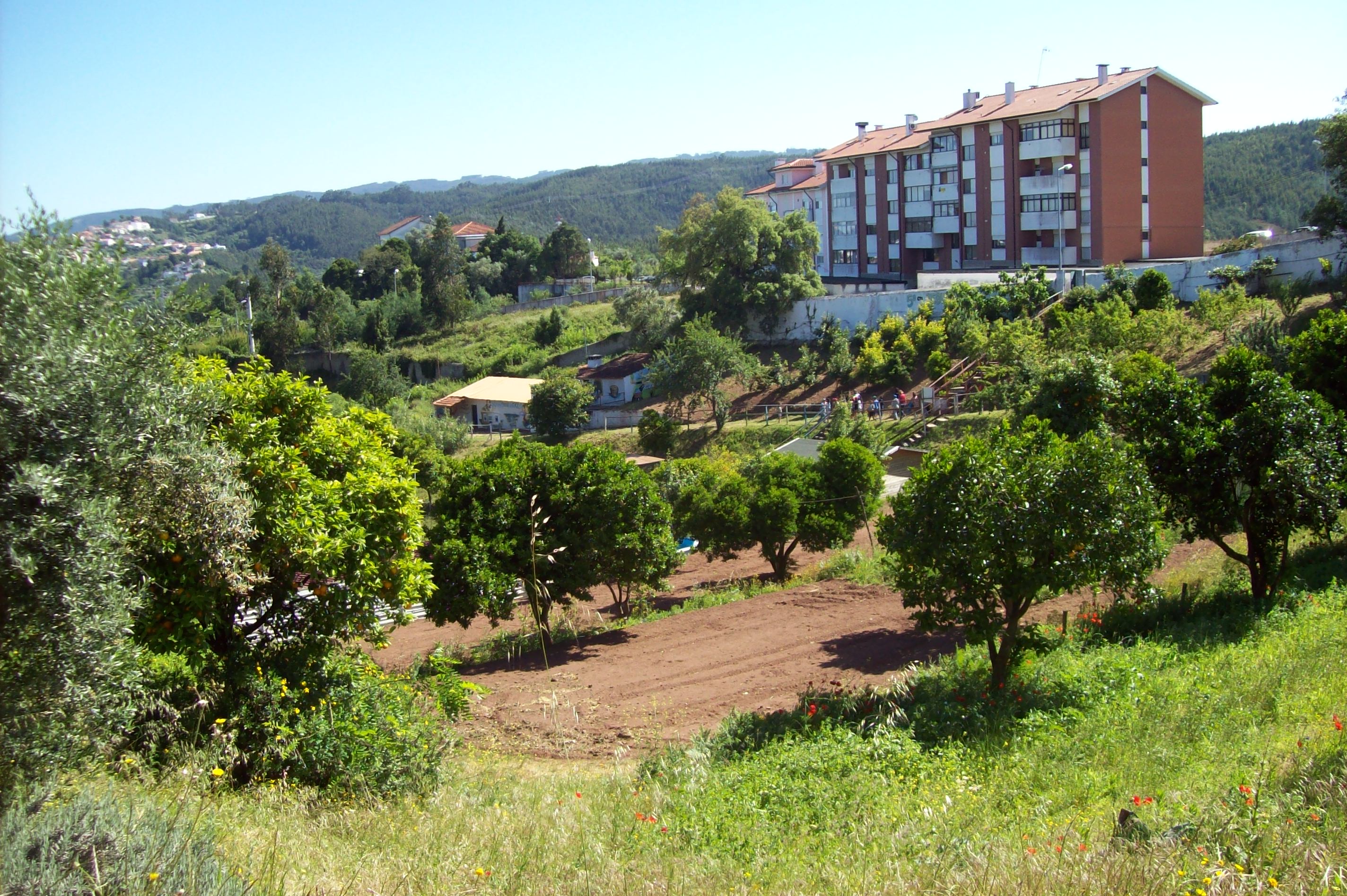 fotografia Quinta dos Olivais